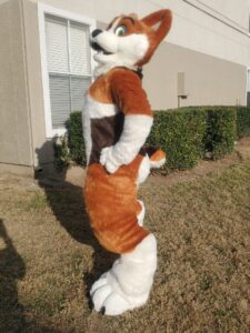 Image of corgi fullsuit posing to the side showing off digitigrade legs